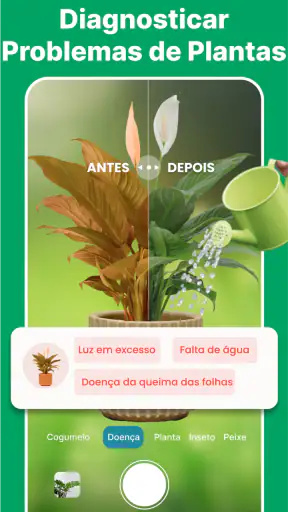 Scanner Identificador Planta screenshot
