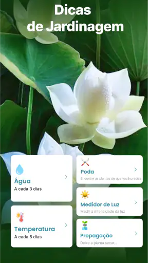 Scanner Identificador Planta screenshot
