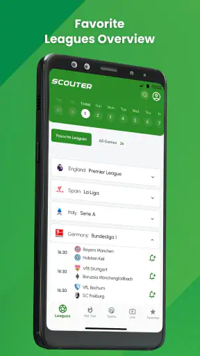Scouter - Placar & Conselho screenshot