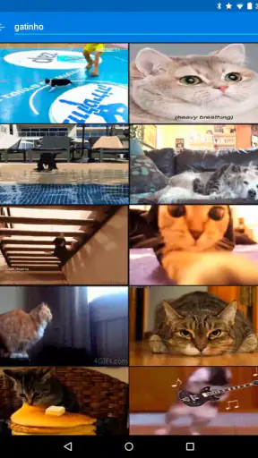 Tenor GIF Keyboard screenshot