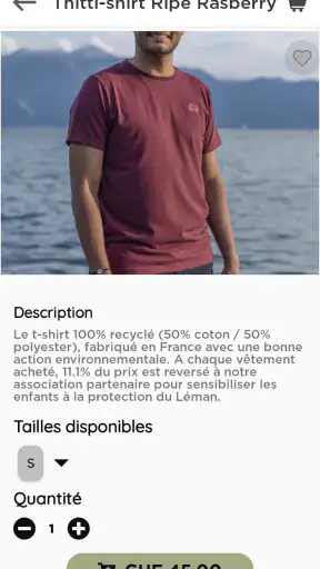 Teorem screenshot