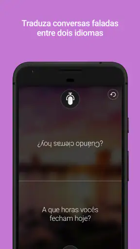 Tradutor da Microsoft screenshot