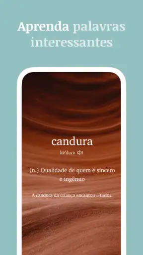 Vocabulary - Aprenda palavras screenshot