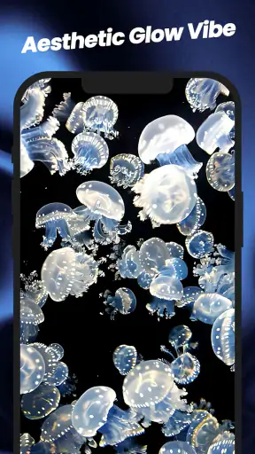 Wallpaper Papel de Parede Vivo screenshot