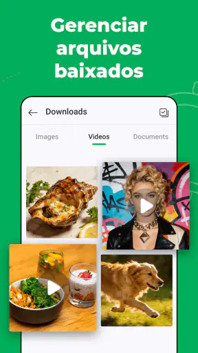 Web Scanner – Chat Duplo screenshot