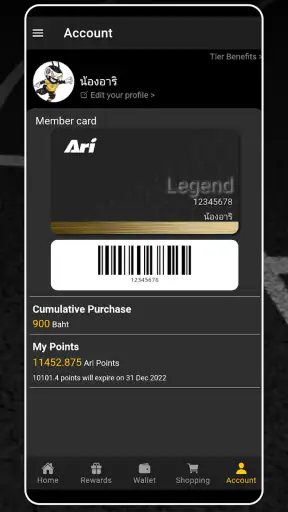 Ari Club screenshot