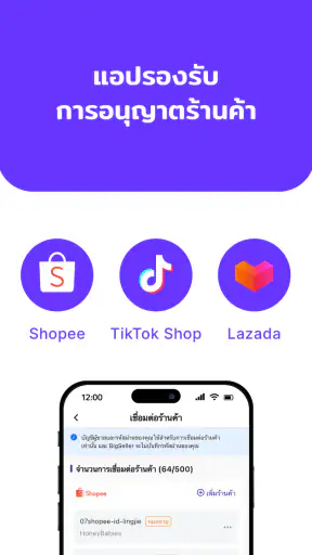 BigSeller screenshot