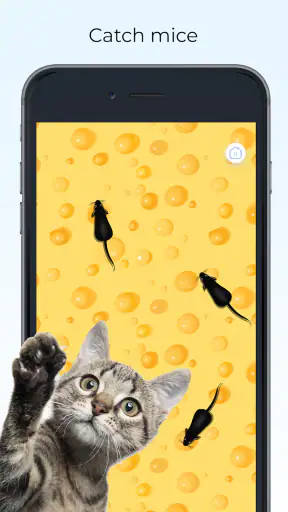 Meow - เกมสำหรับแมวและเสียงแมว screenshot