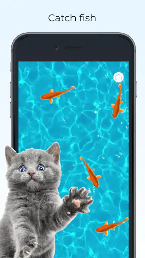 Meow - เกมสำหรับแมวและเสียงแมว screenshot