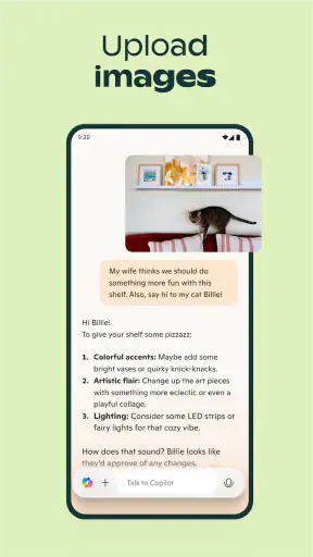 Microsoft Copilot screenshot