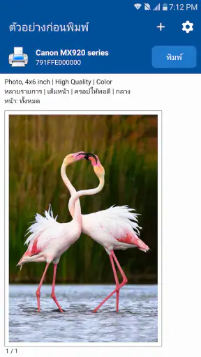 NokoPrint - การพิมพ์มือถือ screenshot