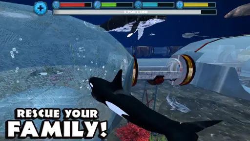 Orca Simulator screenshot
