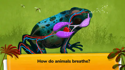 The Animals: Animal Kids Games screenshot