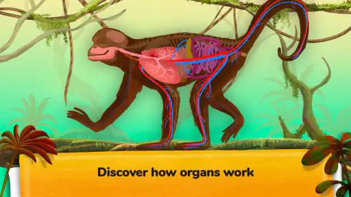 The Animals: Animal Kids Games screenshot