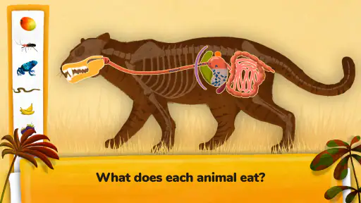 The Animals: Animal Kids Games screenshot