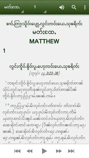 พระคัมภีร์ ภาษา ไทยใหญ่ screenshot