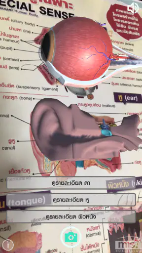 ระบบร่างกายมนุษย์แบบสามมิติ screenshot